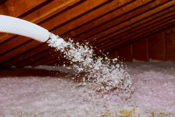 La Vernia, TX Insulation Contractor Pros