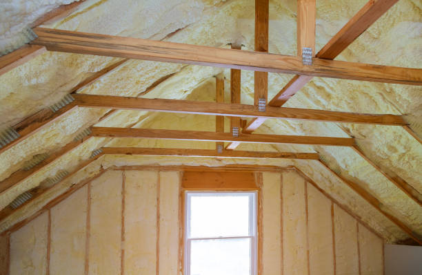 Best Commercial Insulation in La Vernia, TX
