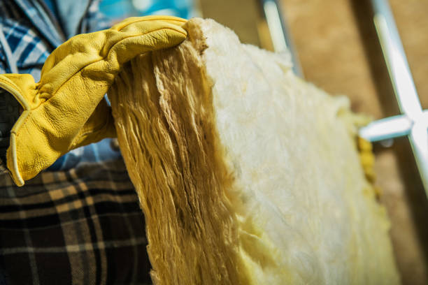 Best Types of Insulation in La Vernia, TX