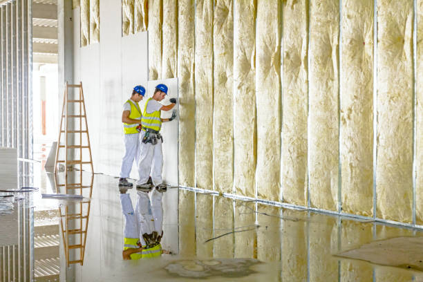 Best Insulation for Specific Applications in La Vernia, TX
